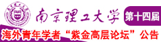 啊啊啊大鸡巴好会捅南京理工大学第十四届海外青年学者紫金论坛诚邀海内外英才！